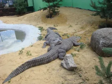Fotopark krokodýlů- Dolní Rožínka